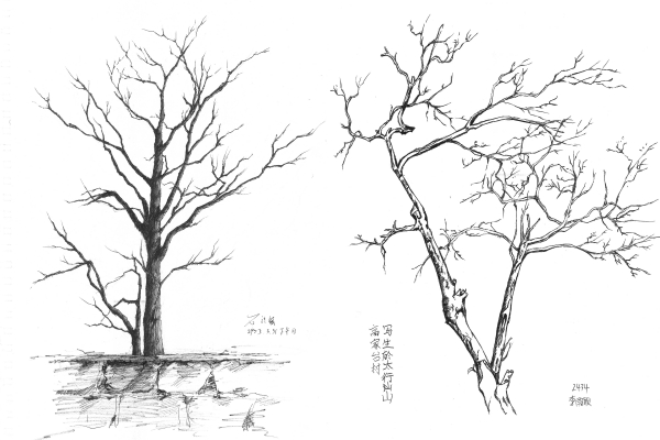 微信图片_20250423200134.jpg